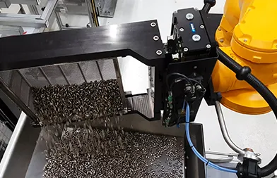 robotic bulk processing